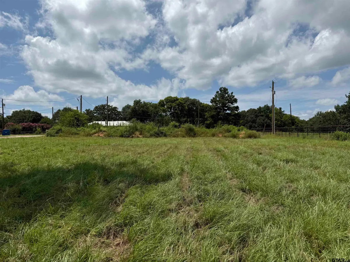 000 Lake Dr, Winona, TX 75792 - Image #1