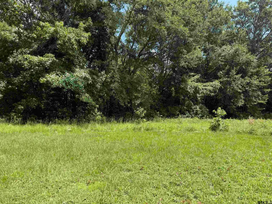 000 Lake Dr, Winona, TX 75792 - Image #2