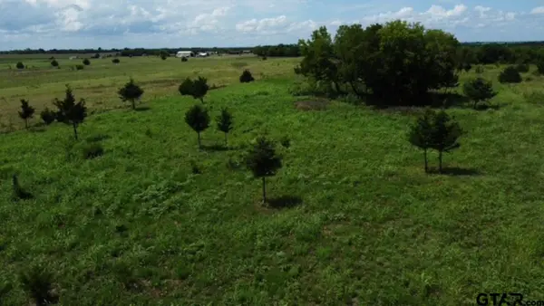 1146 County Road 2175, Klondike, TX 75448