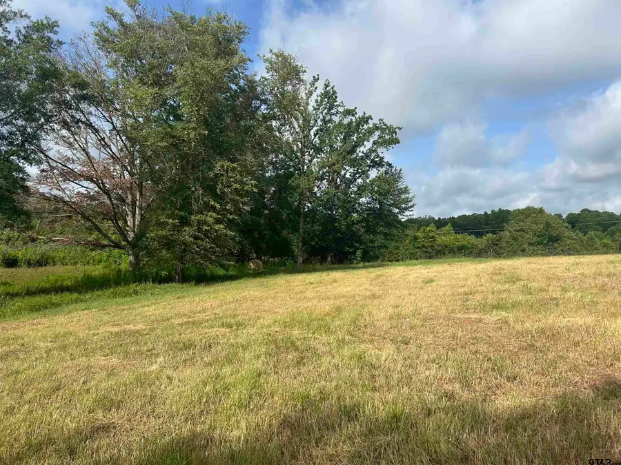 TBD CR 2138, Troup, TX 75789 - Image #2