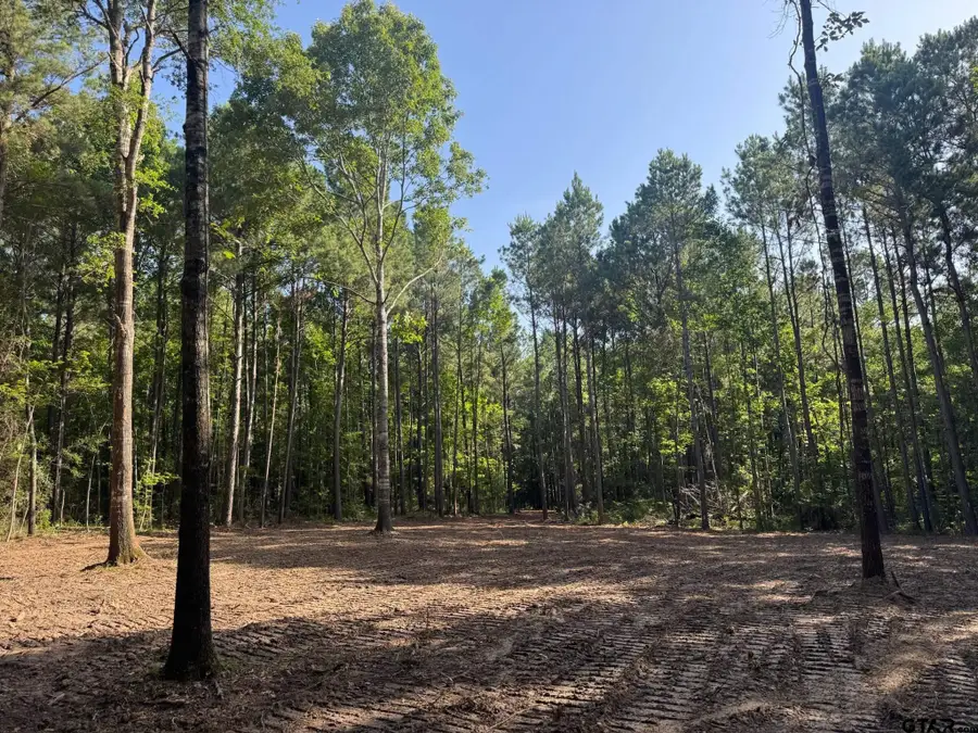Tract 3A Cr 2322, Rusk, TX 75785 - Image #3