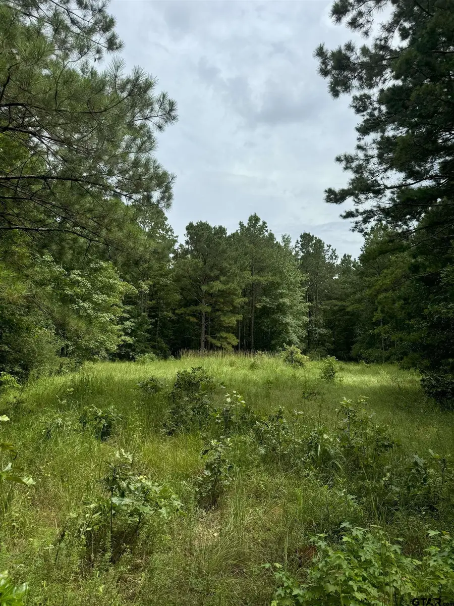 Tract 2 Cr 2217, Rusk, TX 75785 - Image #3