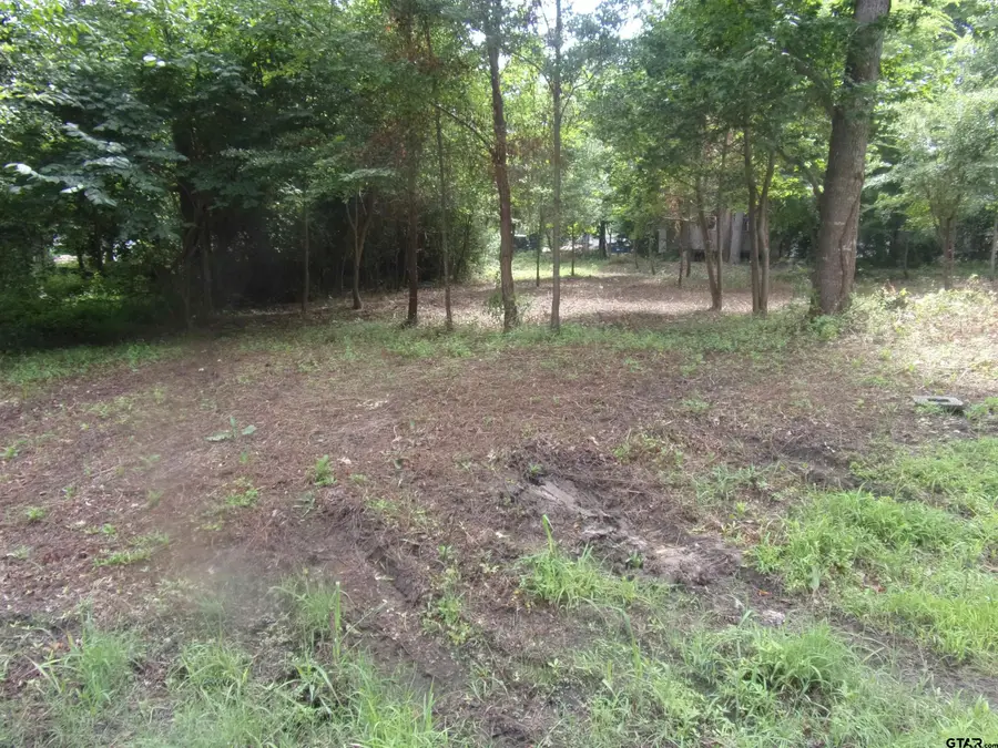 751 Dogwood Trail, Murchison, TX 75778 - Image #2