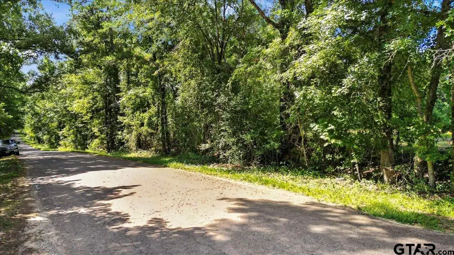 TBD Sue Belle Rd., Marshall, TX 75670 - Image #2