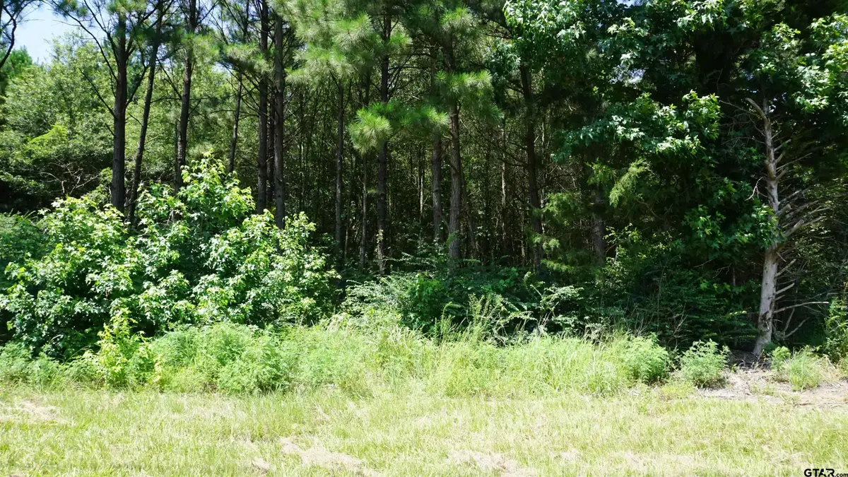 TBD Hwy 80, Hawkins, TX 75765 - Image #1