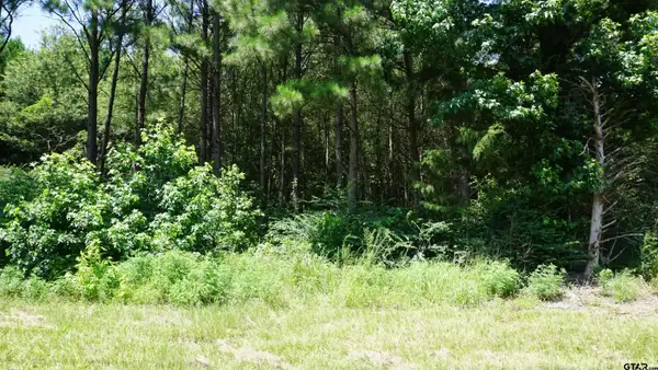 TBD Hwy 80, Hawkins, TX 75765