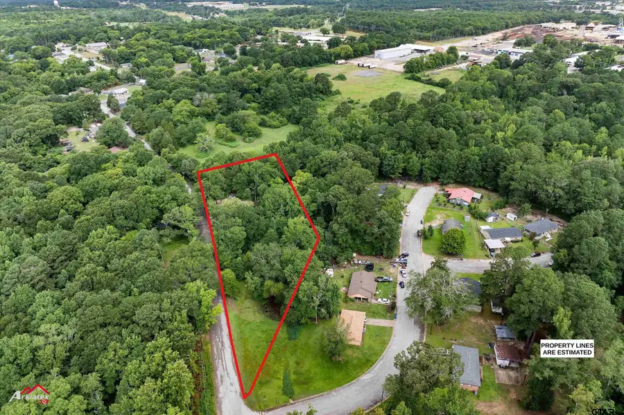 200 Jenkins St, Henderson, TX 75652 - #3