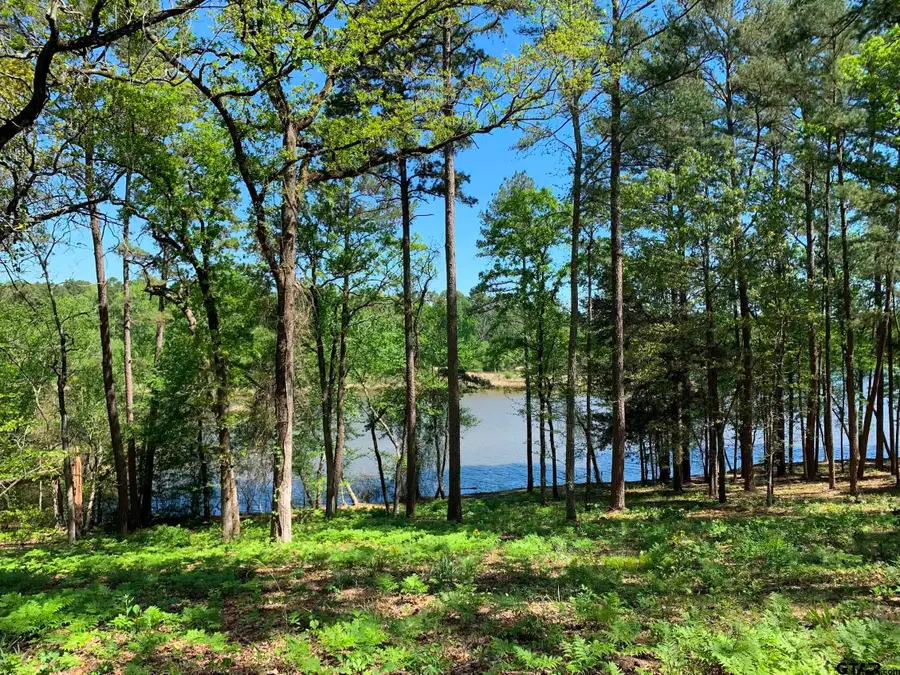 0 FM 3506, Chandler, TX 75758 - Image #2