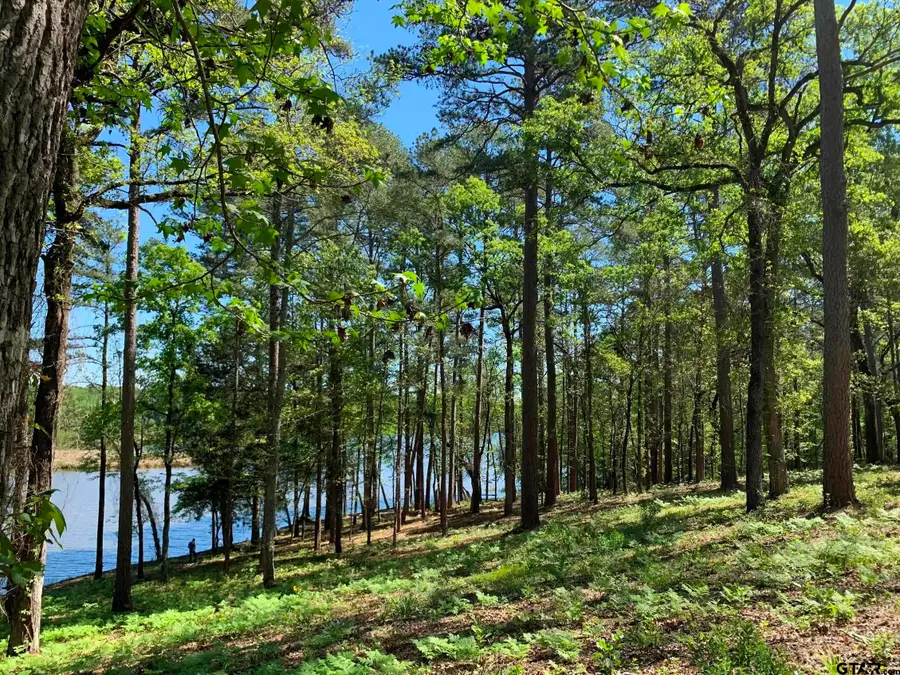 0 FM 3506, Chandler, TX 75758 - Image #3