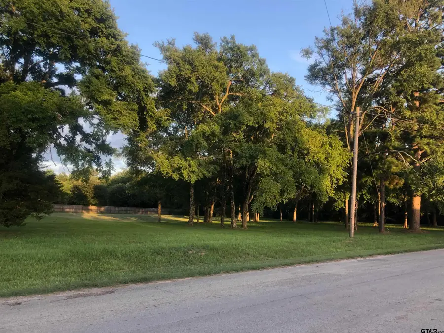 124 White St, Rusk, TX 75785 - Image #2