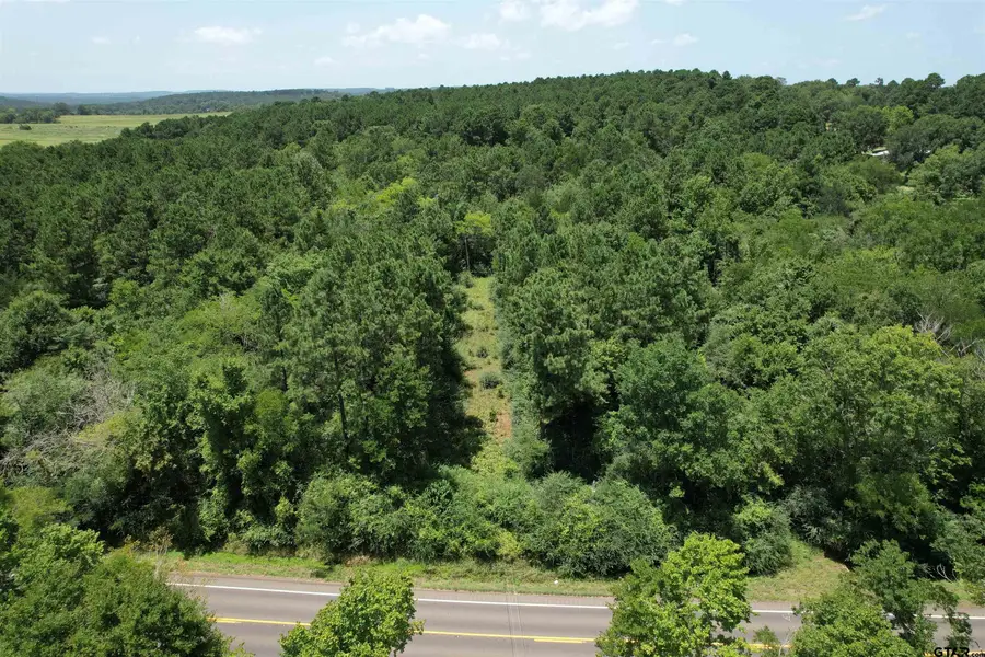 TBD E State Highway 21, Alto, TX 75925 - #3