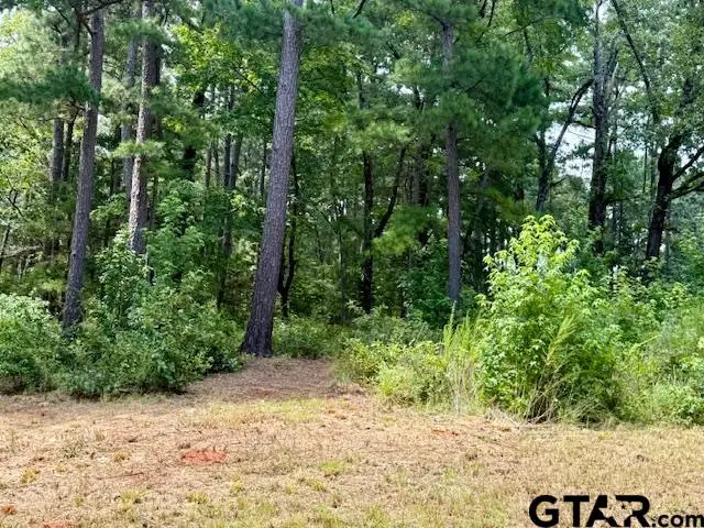 16203 CR 436, Lindale, TX 75771 - #3