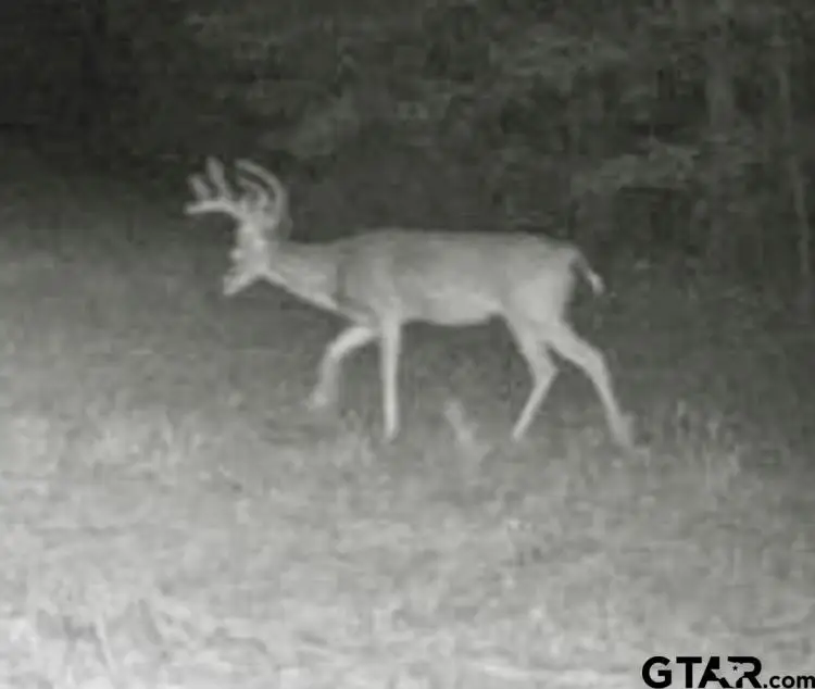 TBD CR 2126, Rusk, TX 75785 - Image #2