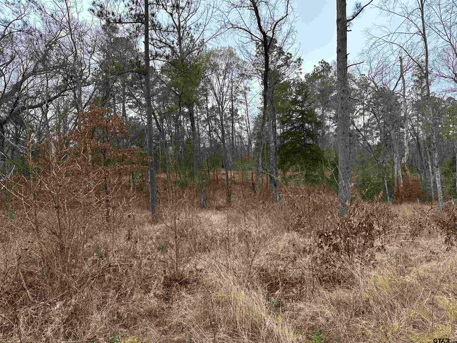 TBD FM 747, Jacksonville, TX 75766 - Image #2