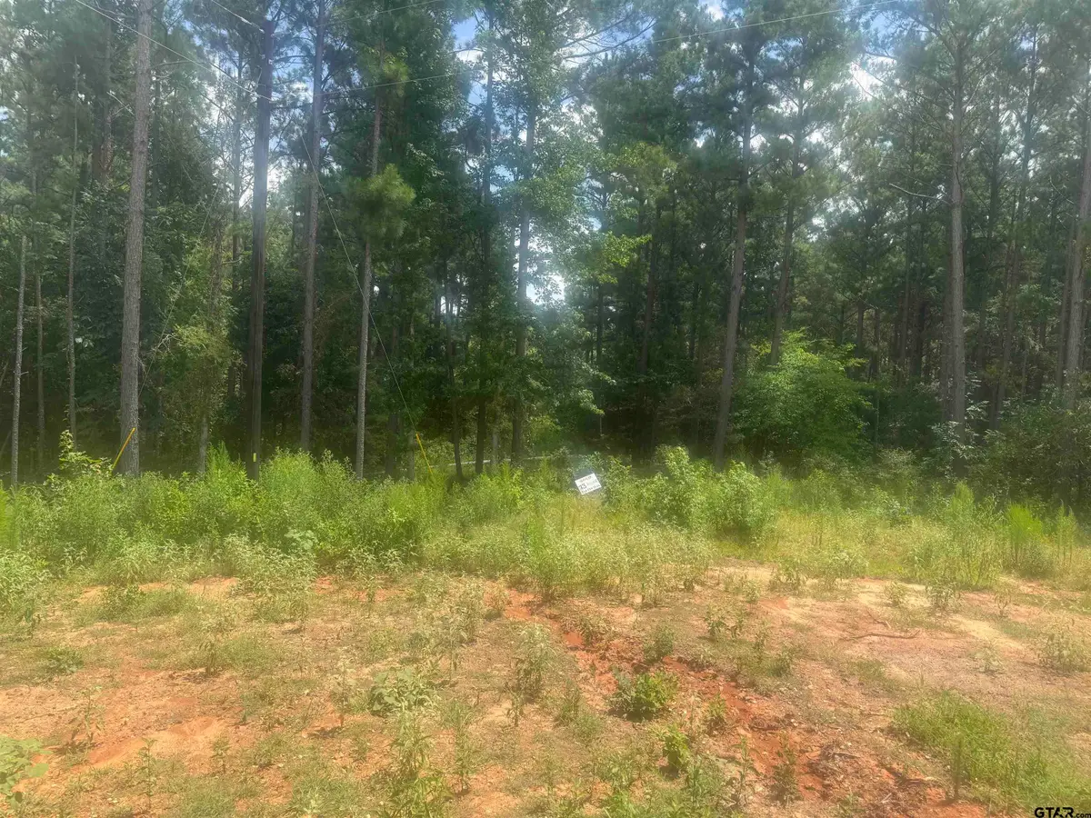 Lot 13 PR 7949, Hawkins, TX 75765 - Image #1