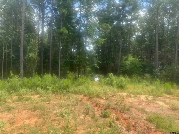 Lot 13 PR 7949, Hawkins, TX 75765