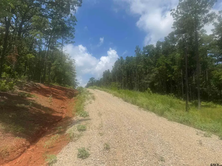 Lot 13 PR 7949, Hawkins, TX 75765 - Image #3