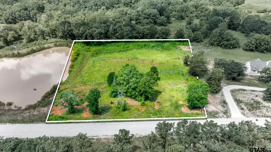 17273 Stella Maris Street, Winona, TX 75792 - #2