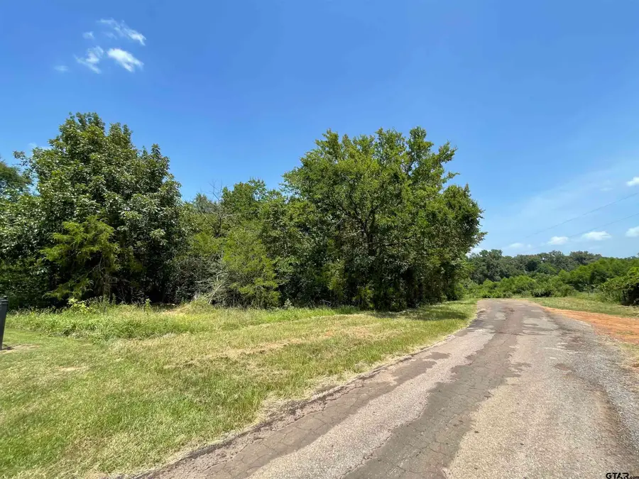 TBD Hwy 49, Daingerfield, TX 75638 - Image #3