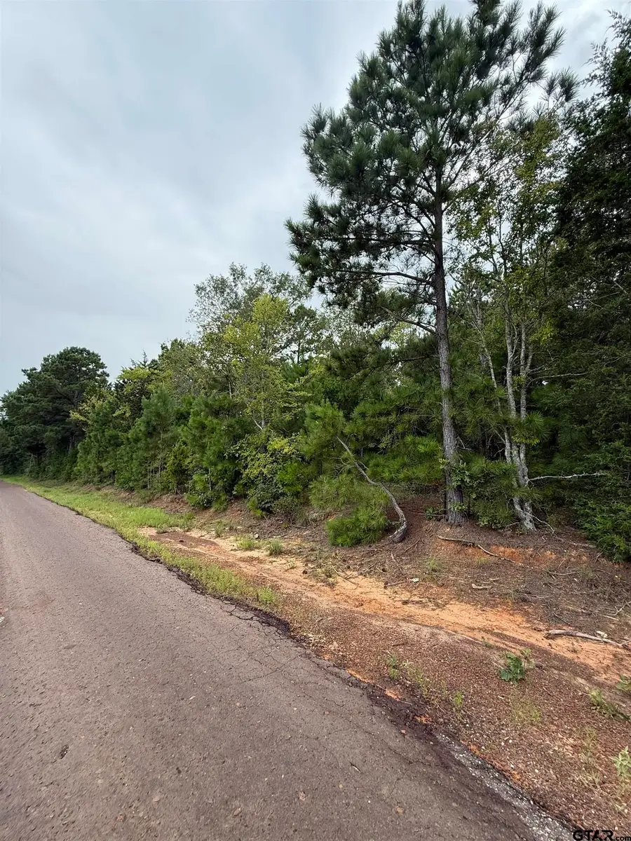 TBD County Road 4620, Troup, TX 75789 - Image #3