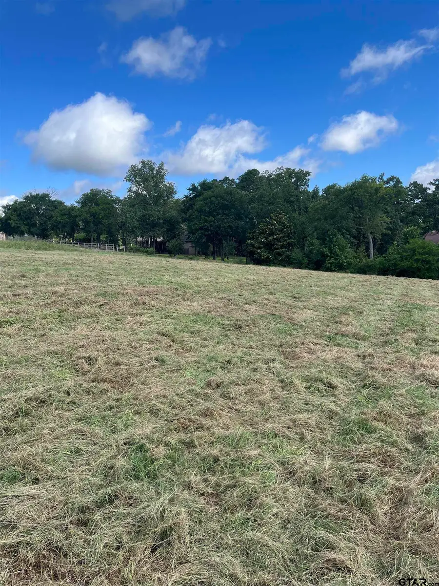 304 Bridle Ridge Ct., Tyler, TX 75703 - #2