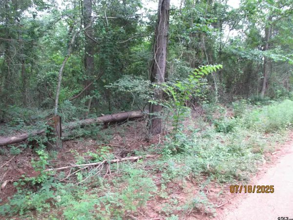 586 Crescent, Bullard, TX 75757