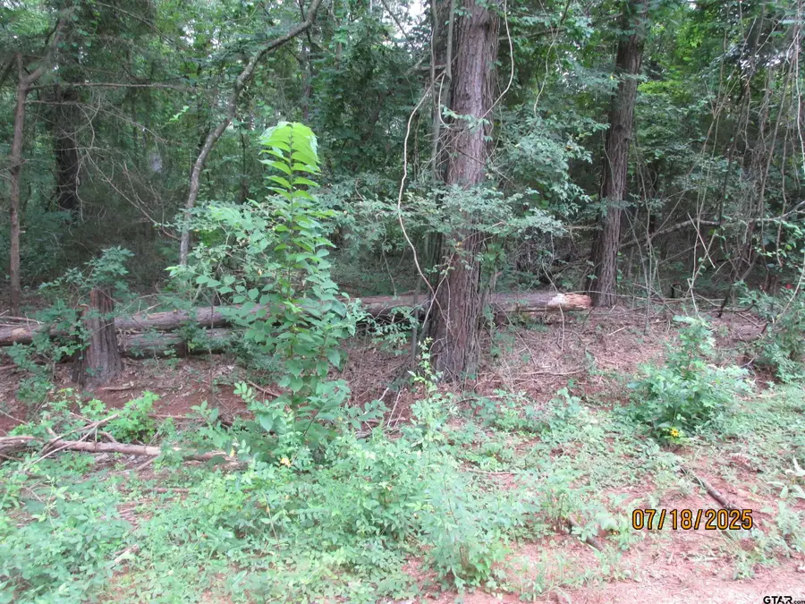 586 Crescent, Bullard, TX 75757 - Image #2