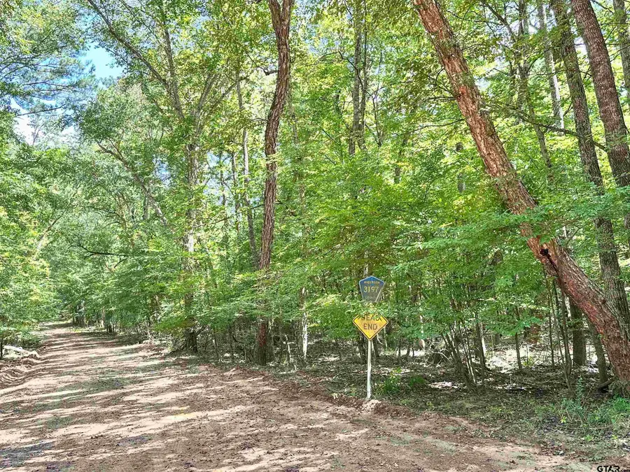 0 An County Road 3194, Frankston, TX 75763 - Image #2