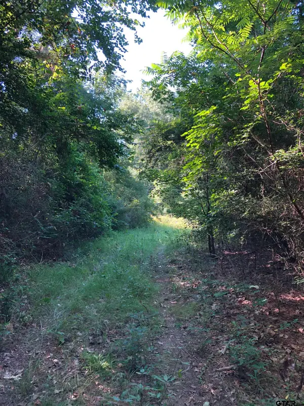 TBD CR 1201, Rusk, TX 75785