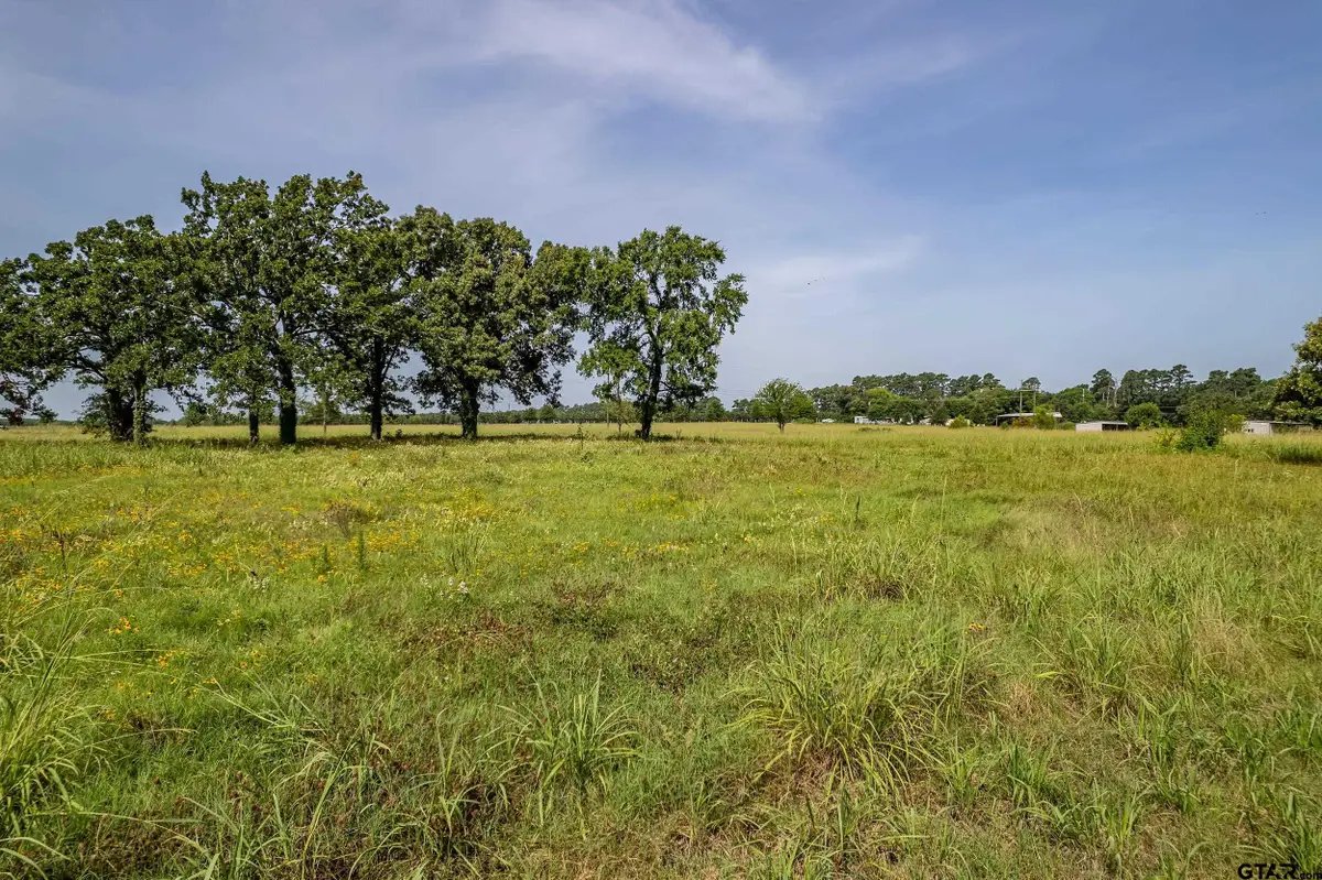 Lot 1 VZ County Road 1516, Van, TX 75790 - Image #1