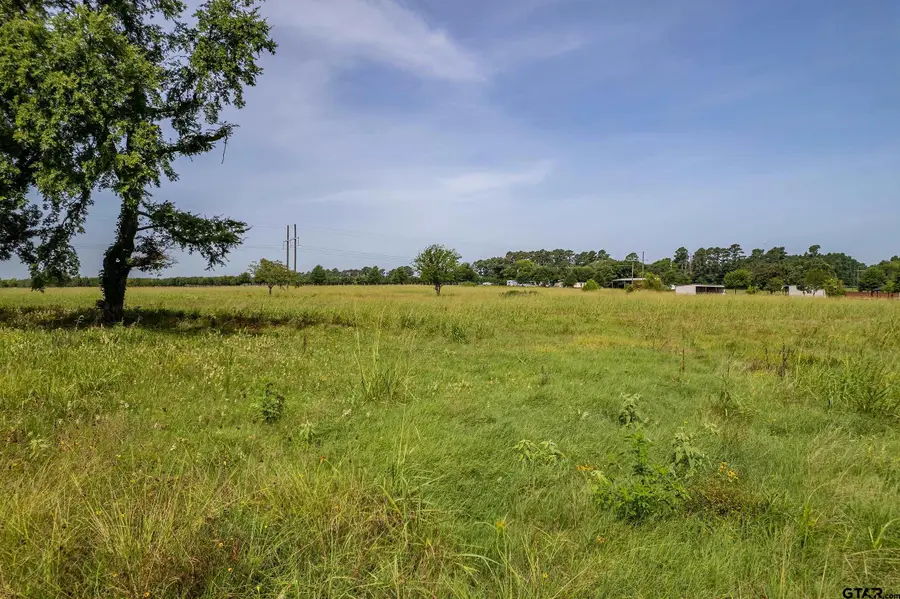 Lot 1 VZ County Road 1516, Van, TX 75790 - Image #2