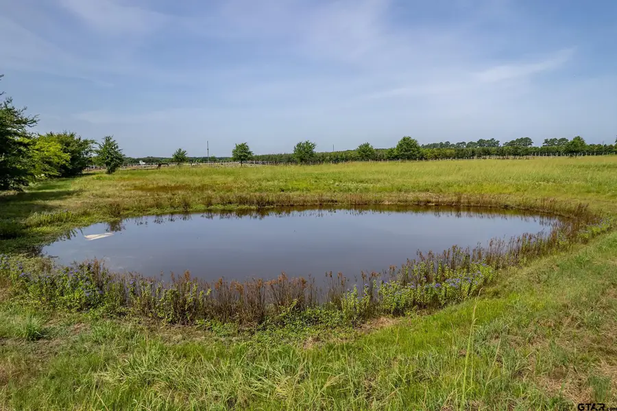 Lot 1 VZ County Road 1516, Van, TX 75790 - Image #3