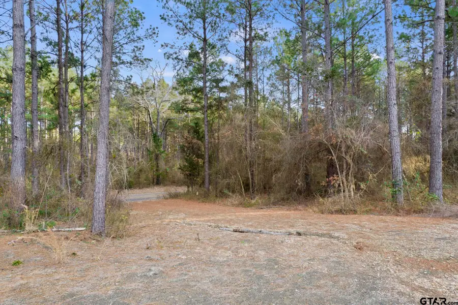 10631 FM 250, Naples, TX 75568 - Image #2