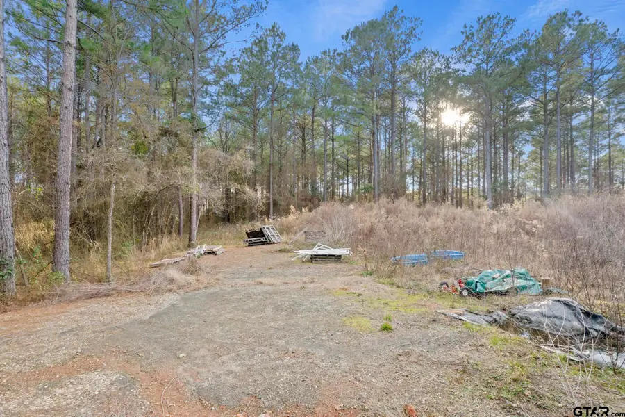 10631 FM 250, Naples, TX 75568 - Image #3