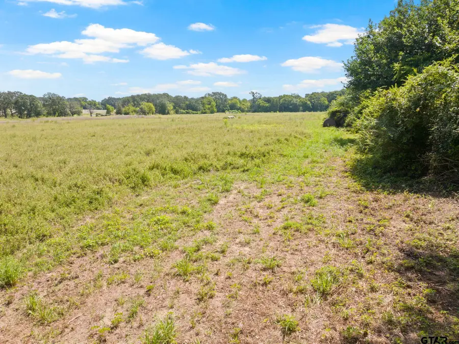 TBD CR 1342, Mount Pleasant, TX 75455 - Image #2