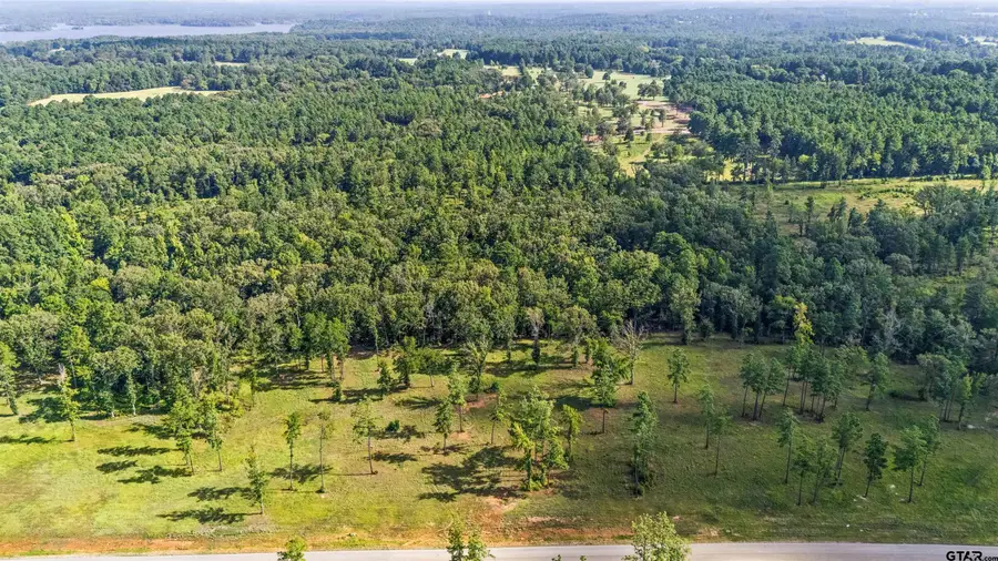 15810 Aniston Lane, Flint, TX 75762 - Image #3