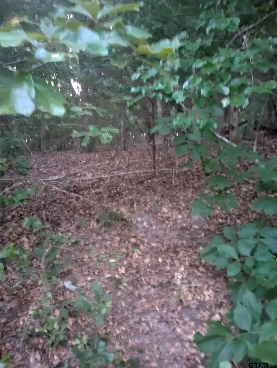 0000 Wildwood, Murchison, TX 75778 - Image #2