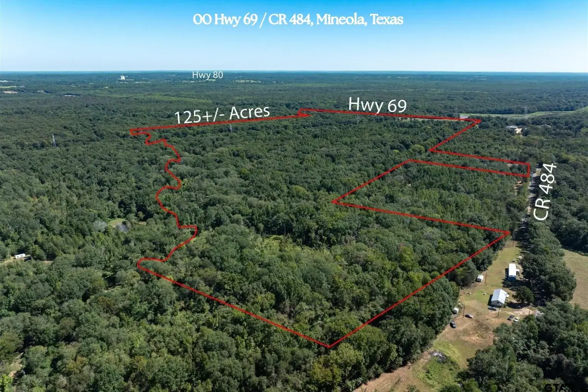 00 Hwy 69 / CR 484, Mineola, TX 75773 - Image #1