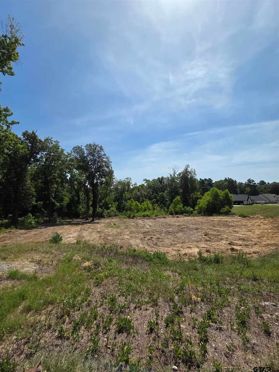 3515 & 3507 Chapel View, Tyler, TX 75707 - Image #3