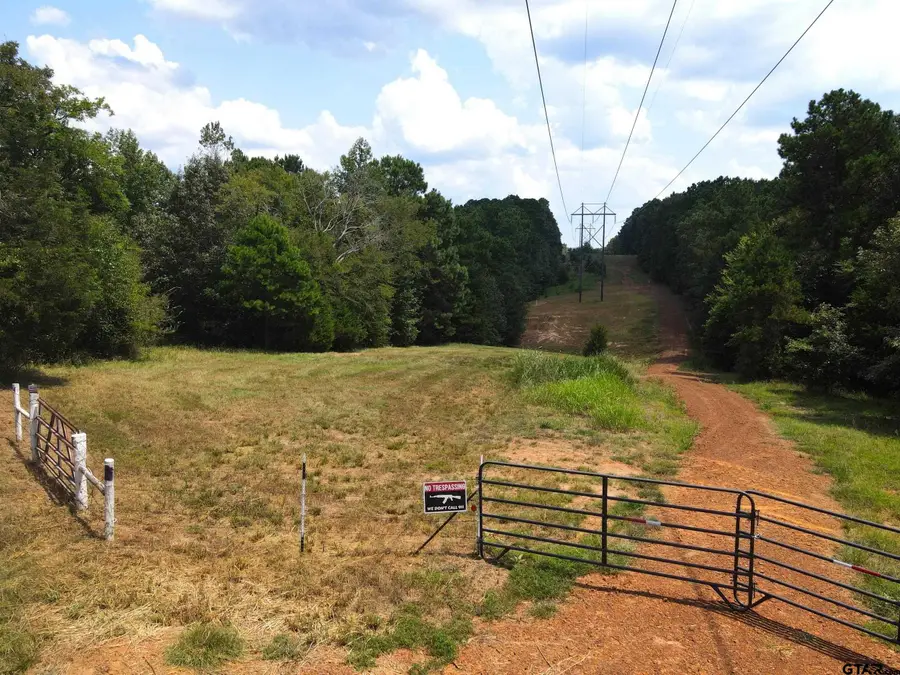 TBD CR 2310, Lone Star, TX 75668 - Image #3