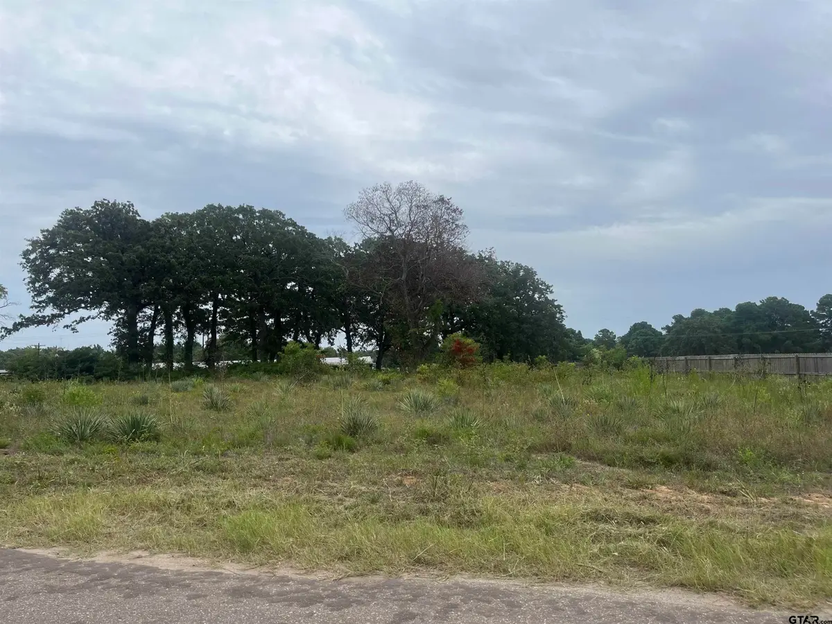 14914 C R 424, Lindale, TX 75771 - #1