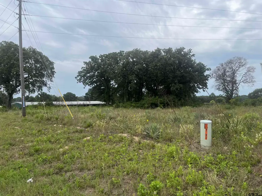 14914 C R 424, Lindale, TX 75771 - #2