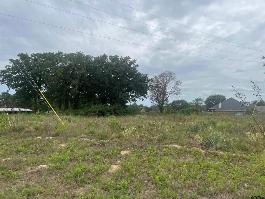 14914 C R 424, Lindale, TX 75771 - #3