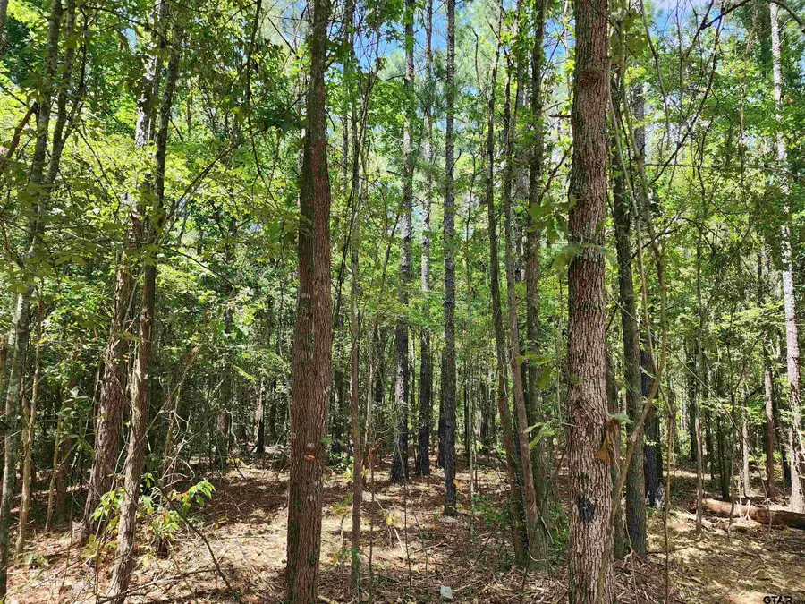 TBD CR 4114 22.22 Acres, Hughes Springs, TX 75656 - Image #2