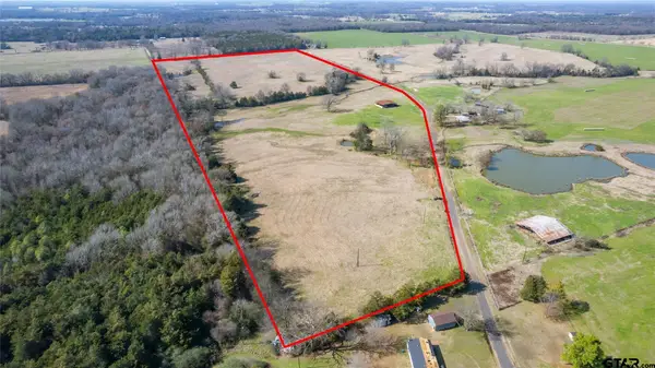 53 Acres FM 2376, Saltillo, TX 75478