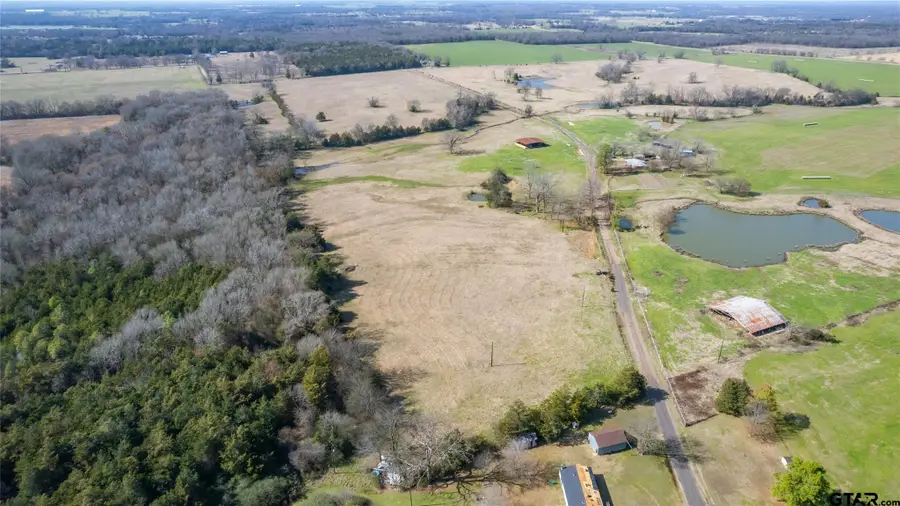 53 Acres FM 2376, Saltillo, TX 75478 - Image #2