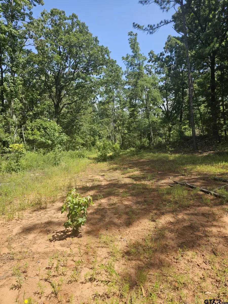 0 frontier, Flint, TX 75762 - Image #2