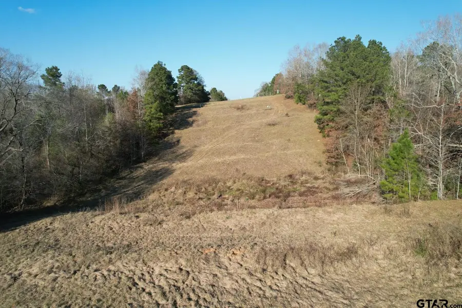 TBD Reeves Rd, Garrison, TX 75946 - #3