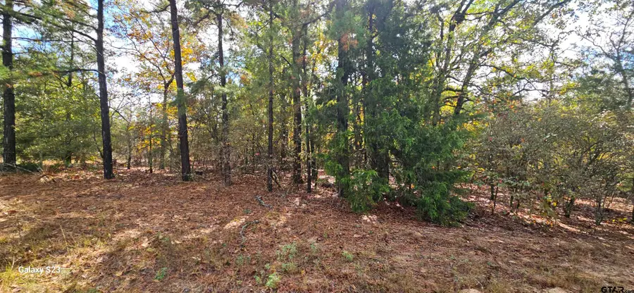 15570 CR 3147, Tyler, TX 75706 - Image #3