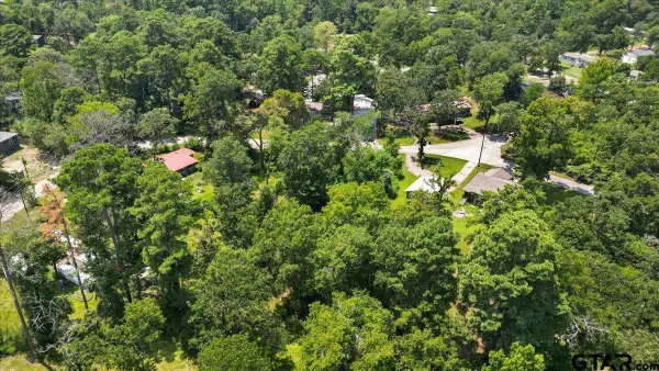 TBD Lot 1 Brierwood Drive, Frankston, TX 75763